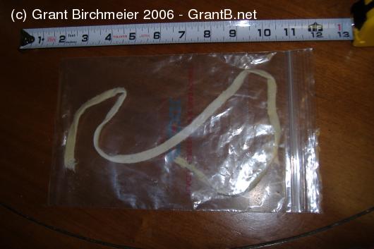 A 23 inch shoelace in a plastic bag